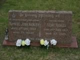 image of grave number 881015